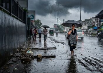 भोपाल में मानसून में बढ़ा डेंगू का खतरा, अगस्त में मरीज दोगुने से ज्यादा; जलभराव से मच्छरों ने बढ़ाई चिंता