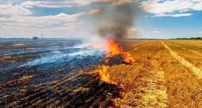 मध्य प्रदेश में पराली बनी बड़ी चिंता, रोकथाम के दावों के बीच बढ़ीं आग की घटनाएं; 2026 में आंकड़ा 39 हजार पार