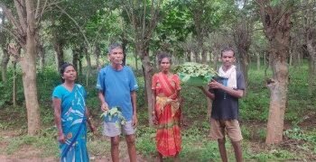 तसर पालन से बीजापुर के ग्रामीणों की बढ़ेगी आय