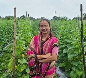 बिहान से मिली नई उड़ान, खेती से आत्मनिर्भर बनीं कल्पना सिंह