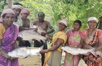मछलीपालन से सशक्त हुईं मनोरा और दुलदुला की महिलाएं, लाखों की आय से बदली जीवन की तस्वीर