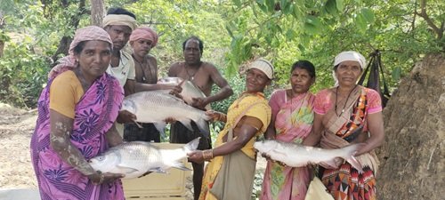 मछलीपालन से सशक्त हुईं मनोरा और दुलदुला की महिलाएं, लाखों की आय से बदली जीवन की तस्वीर