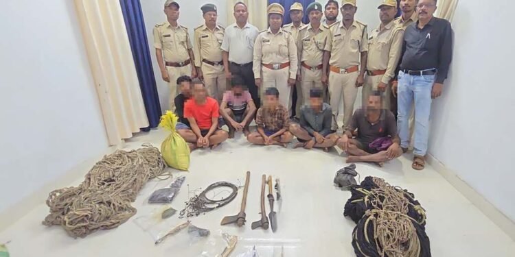 इन्द्रावती टाइगर रिजर्व में वन्यजीव शिकार पर बड़ी कार्रवाई, 6 आरोपी गिरफ्तार