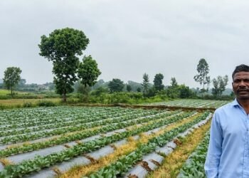 सूक्ष्म सिंचाई योजना से खेती बनी अधिक लाभकारी