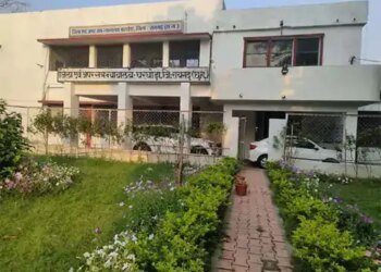 बोर में पत्थर डालने के विवाद में ग्रामीण की हत्या:कुल्हाड़ी से सिर पर किया वार, इलाज के दौरान मौत