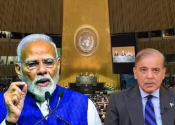 UNSC में पाकिस्तान ने भारत की स्थायी सीट की दावेदारी का किया विरोध, शहबाज के दूत ने संयुक्त राष्ट्र में जताया डर