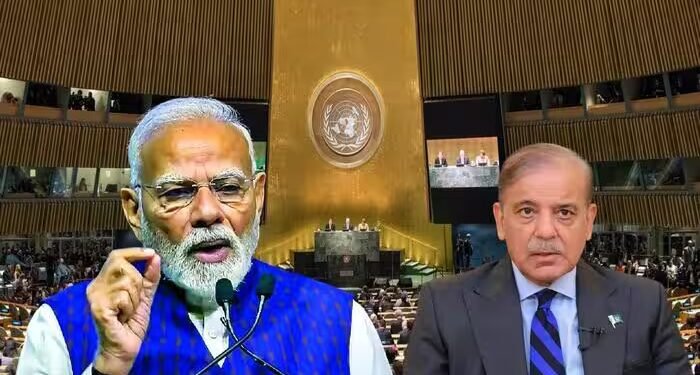 UNSC में पाकिस्तान ने भारत की स्थायी सीट की दावेदारी का किया विरोध, शहबाज के दूत ने संयुक्त राष्ट्र में जताया डर