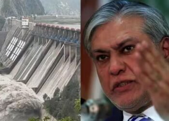 पानी की किल्लत से घबराया पाकिस्तान, दुनिया के सामने भारत के खिलाफ फैलाया हाथ, डेटा के लिए रोए इशाक डार