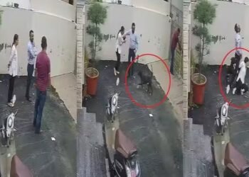 पंजाब के पटियाला में मकान देखने गए पति-पत्नी पर टूट पड़ा पिटबुल, दोनों को 26 बार काटा, वीडियो भी आया सामने