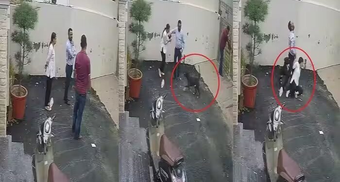 पंजाब के पटियाला में मकान देखने गए पति-पत्नी पर टूट पड़ा पिटबुल, दोनों को 26 बार काटा, वीडियो भी आया सामने