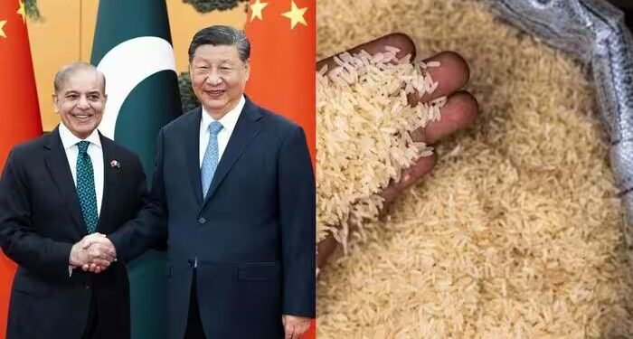 चीन को चावल निर्यात का रिकॉर्ड बनाने पर पाकिस्तान की नजर, भारत के मुकाबले से हटने ने दिया मौका