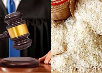 बासमती चावल पर ऑस्ट्रेलियाई कोर्ट ने भारत को दिया झटका, पाकिस्तान हुआ खुश, जानें पूरा मामला