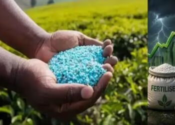 FACT से लेकर RCF तक… पुतिन के एक आदेश से उछल गए ये भारतीय शेयर, आखिर क्या कहा रूसी राष्ट्रपति ने?