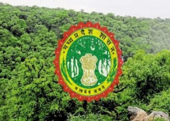 एमपी वन विभाग में बड़ा फेरबदल, 49 अधिकारियों के तबादले; सिवनी, छिंदवाड़ा और उमरिया के SDO बदले