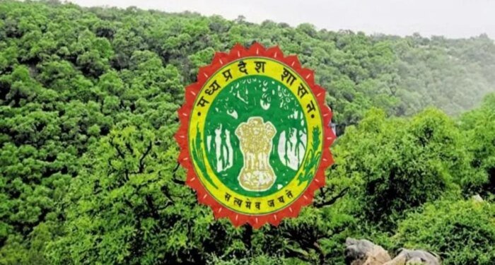 एमपी वन विभाग में बड़ा फेरबदल, 49 अधिकारियों के तबादले; सिवनी, छिंदवाड़ा और उमरिया के SDO बदले