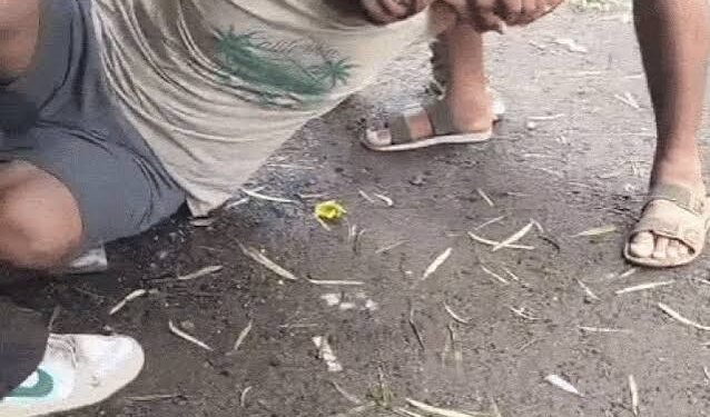 मृत्यु पर विजय क्या संभव है? हमेशा जिंदा रहने की कोशिश कर रहे अरबपति को फिजिसिस्ट अल-खलीली ने बताई सच्चाई