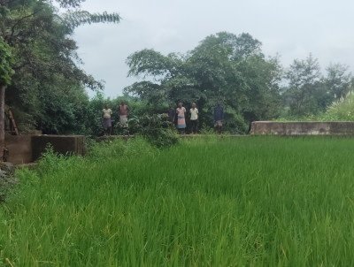 स्टॉपडेम से खुशहाल हुए आदिवासी परिवार