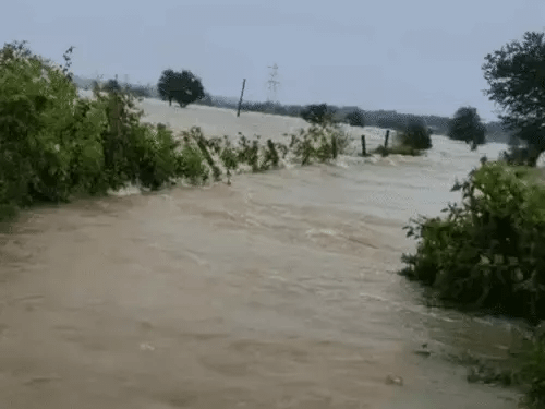 रायपुर में जलभराव, बस्तर में स्कूल बंद, घरों में घुसा पानी, जगदलपुर-हैदराबाद फ्लाइट रद्द