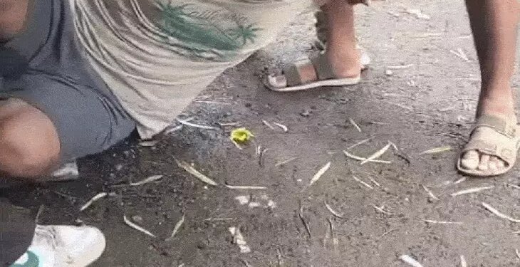 भोपाल के हमीदिया अस्पताल से कैदी ने की भागने की कोशिश, 4th फ्लोर के टॉयलेट से पाइप के सहारे उतरा, पुलिस ने दबोचा