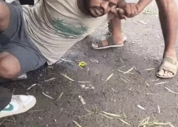 भोपाल के हमीदिया अस्पताल से कैदी ने की भागने की कोशिश, 4th फ्लोर के टॉयलेट से पाइप के सहारे उतरा, पुलिस ने दबोचा