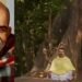 ‘हनुमान अंश’ को विदेशों तक पहुंचाने की हो चुकी तैयारी, देशभर में बम्पर कमा चुकी फिल्म अब वर्ल्डवाइड रिलीज