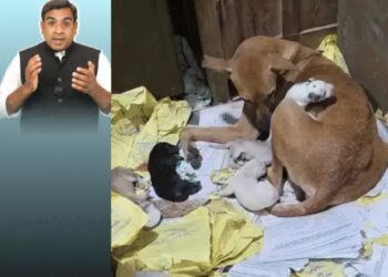 बॉयफ्रेंड के साथ संबंध बनाते पकड़ा, गैंगरेप किया:3 बदमाशों के साथ दोस्त को भी सजा; उम्र ने बदली केस की दिशा