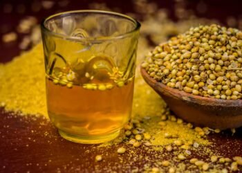 सुबह धनिया का पानी पीने से क्या होता है? बनाने से पहले जरूर करें मूसल का इस्तेमाल