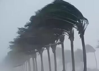 अगले 7 घंटे में 20 राज्यों में भारी बारिश का अलर्ट, 75 की रफ्तार से हवा; IMD अपडेट जारी