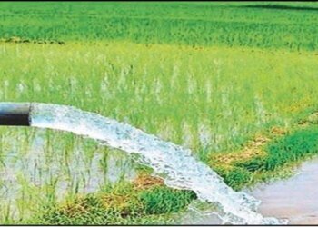 एमपी के 700 से अधिक गांवों की 1.67 लाख हेक्टेयर जमीन होगी सिंचित, 36 हजार किसान परिवारों को मिलेगा सीधा लाभ