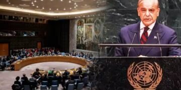 UNSC में भारत की स्थायी सदस्यता की मांग का पाकिस्तान ने किया कड़ा विरोध, शहबाज के दूत ने अलापा नया राग