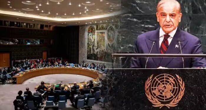UNSC में भारत की स्थायी सदस्यता की मांग का पाकिस्तान ने किया कड़ा विरोध, शहबाज के दूत ने अलापा नया राग