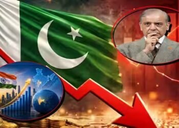 IMF में अपने रोल पर कल तक ठोक रहा था ताल, अब ग्रोथ का ये हाल देखकर पाकिस्‍तान होगा लाल