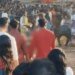 मानकेश्वरी मंदिर में 60 बकरों की बलि,बैगा ने पिया खून:शरद पूर्णिमा पर 500 साल पुरानी परंपरा निभाई;मन्नत पूरी होने पर बकरा चढ़ाते हैं श्रद्धालु