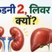 शरीर में लिवर सिर्फ एक, लेकिन किडनी दो क्यों होती हैं? डॉक्टर ने बताई दिलचस्प वजह