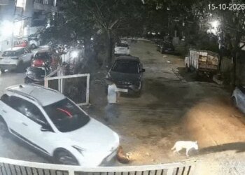 नाबालिग ने कार से स्ट्रीट डॉग को रौंदा…चारों पैर टूटे:डॉग लवर ने विरोध किया तो किशोर के पिता ने डंडा दिखाया, पुलिस ने शुरू की जांच