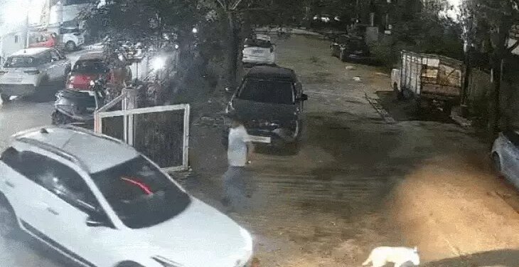 नाबालिग ने कार से स्ट्रीट डॉग को रौंदा…चारों पैर टूटे:डॉग लवर ने विरोध किया तो किशोर के पिता ने डंडा दिखाया, पुलिस ने शुरू की जांच