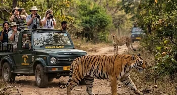 आयुष्मान कार्ड बना स्वास्थ्य का सहारा, निःशुल्क किडनी उपचार से मिली नई उम्मीद