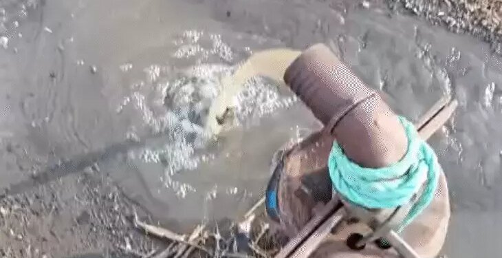 महिला कृषक सम्मेलन आयोजित